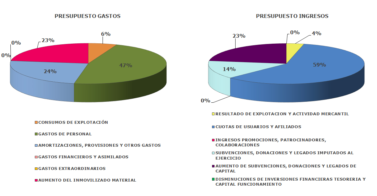 Gráficos presupuesto